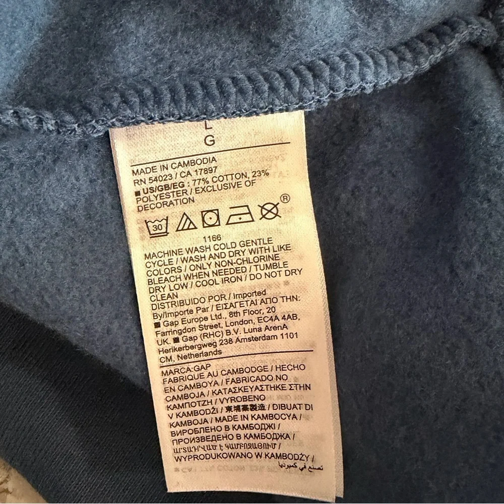 NWT GAP Kids Logo Hoodie - Tranquil Blue